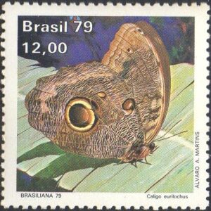 Br-Selo, 1979, C-1100-RHM, (Mint). Dia do Selo - Brasiliana 79 - Borboletas. (C. eurilochus).