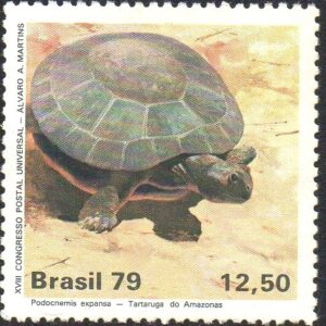 Br-Selo, 1979, C-1093-RHM, (Mint). Proteção à Natureza - Parque Nacional da Amazônia (Tartaruga).