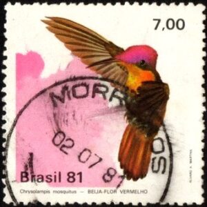 Br-Selo, 1981, C-1199-RHM, (U). Fauna Brasileira (Beija-Flor Vermelho).