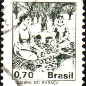 Br-Selo, 1979, RE- 588-RHM, (U). Papel Couchê FSF - sem Filigrana, (Quebra de Babaçu).