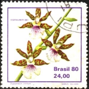 Br-Selo, 1980, C-1164-RHM, (U). Orquídea Brasileiras (Zygopetalum) - Espemer 80 - Exposição Filatélica da América e Europa, Madrid, Espanha.