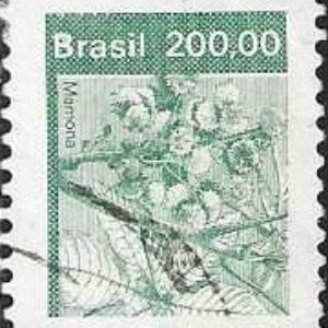 Br-Selo, 1982, RE-627-RHM, (N). Recursos Econômicos (Mamona).