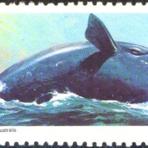 Br-Selo, 1987, C-1550-RHM, (Mint). Preservação da Fauna Brasileira.