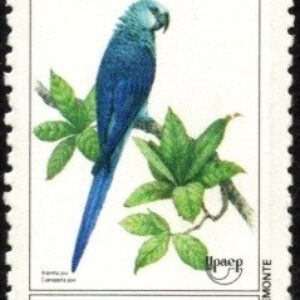 Br-Selo, 1993, C-1866 (RHM), (Mint). UPAEP 93 - Fauna em Extinção - Araras Brasileiras (Ararinha Azul).