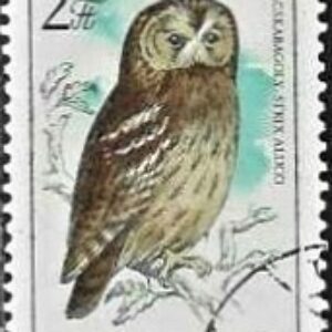 HUN Selo, 1984, (Mint), Yt:HU 2954, Protected Birds - Owls. Tawny Owl (Strix aluco).