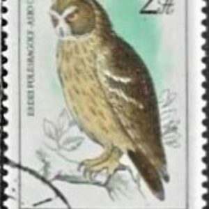 HUN Selo, 1984, (Mint), Yt:HU 2955, Protected Birds - Owls. Long-eared Owl (Asio otus).