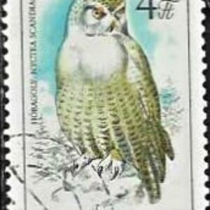 HUN Selo, 1984, (Mint), Yt:HU 2956, Protected Birds - Owls. Snowy Owl (Nyctea scandiaca).