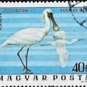 HUN Selo, 1977, (Mint), Yt:HU 2536, Birds from the National Park Hortobagy. Eurasian Spoonbill (Platalea leucorodia).