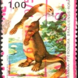 Br-Selo, 1975, C-893-RHM, (U). Preservação da Fauna e Flora (Ariranha).
