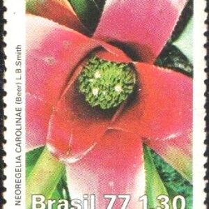 Br-Selo, 1977, C-1006-RHM, (Mint). Defesa do Meio Ambiente - Proteção à Flora.