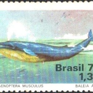 Br-Selo, 1977, C-989-RHM, (N). Defesa do Meio Ambiente - Fauna (Baleia Azul).