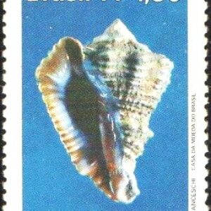 Br-Selo, 1977, C-992-RHM, (Mint). Moluscos do Brasil (Vasum).