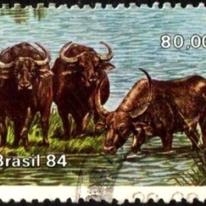 Br-Selo, 1984, C-1405-RHM, (U). Búfalos de Marajó.