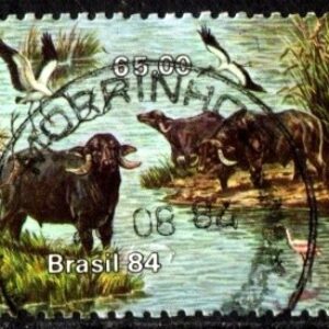 Br-Selo, 1984, C-1404-RHM., (U), Búfalos de Marajó.