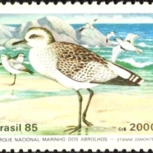 Br-Selo, 1985, C-1464-RHM, (Mint). Preservação da Fauna - Parque Nacional Marinho de Abrolhos (Batuíruçu).