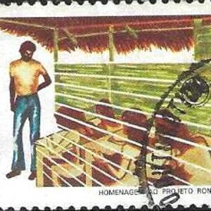 Br-Selo, 1980, C-1156-RHM, (N), Homenagem ao Projeto Rondon (Educação Rural).