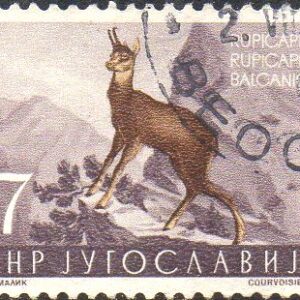 IUG Selo, (Iugoslávia/Europa), (Trieste) 1954, (U). Yt:YU 647. Chamois (Rupicapra rupicapra).
