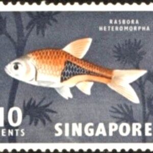 SIN Selo, (República de Singapura/Ásia), 1962, (N), Yt:SG 57. Definitivo/Regular, Animals and Flowers. Harlequin Rasbora (Rasbora heteromorpha).