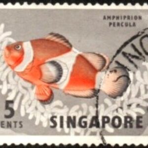 SIN Selo, (República de Singapura/Ásia), 1962,(N), Yt:SG 55. Definitivo/Regular, Animals and Flowers. Percula Clownfish (Amphiprion percula).