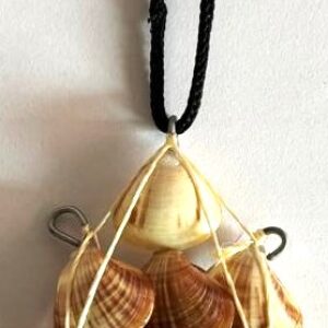 BR Chaveiro, 2024, (UNC), Título: Imagem de conchas natural do mar agrupadas sobre uma base de madeira referente a lembrança da cidade de Natal/RN.