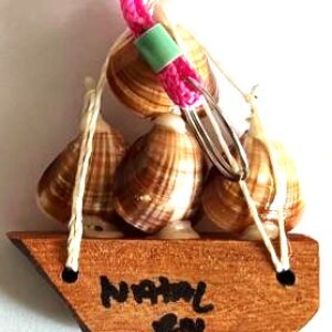 BR Chaveiro, 2024, (UNC), Título: Imagem de conchas natural do mar agrupadas sobre uma base de madeira referente a lembrança da cidade de Natal/RN.