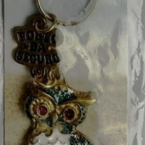 BR Chaveiro, 2025, (UNC), Título: Imagem colorida de uma coruja. Lembrança da cidade de Porto Seguro/BA. Original fabricado por Chaveiros Mania. Brasil.