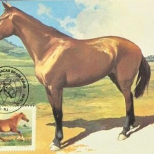 Br-Máximo, 1985, MA0107, C-1446, EPD, (Mint). Cavalos de raças brasileiras (Mangalarga Machador). CBC, Rio de Janeiro/RJ. Verso: Postal ECT, número 028972.