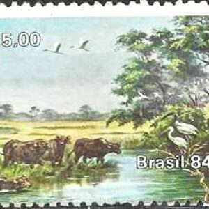 Br-Selo, 1984, C-1403-RHM, (Mint). Búfalos do Marajó (Murrah).