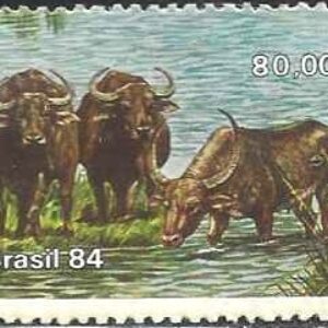 Br-Selo, 1984, C-1405-RHM, (Mint). Búfalos do Marajó (Carabao).