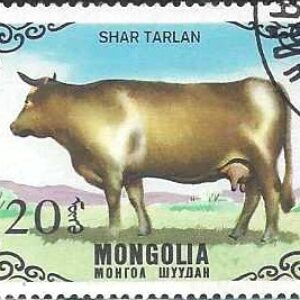 MGL Selo, 1985, (MGLgólia/Ásia), (Mint). Yt:MN 1342. Cattle Shar Tarlan (Bos primigenius taurus).
