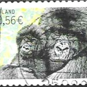 GER (RFA) Selo, (Alemanha/Europa), 2001, (Mint). Endangered Animals Mountain Gorilla (Gorilla beringei beringei).