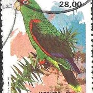 Br-Selo, 1980, C-1168-RHM, (Mint). Fauna Brasileira - Psitacídeos (Charão). VII Lubrapex - Exposição Filatélica Luso-Brasileira, Lisboa Portugal.
