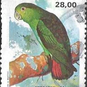 Br-Selo, 1980, C-1169-RHM, (Mint). Fauna Brasileira - Psitacídeos (Paragainhio). VII Lubrapex - Exposição Filatélica Luso-Brasileira, Lisboa Portugal.