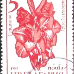 BUL Selo, (Bulgária/Europa), 1985, (Mint). Garden Flowers. (Gladiolus hybridy sp).
