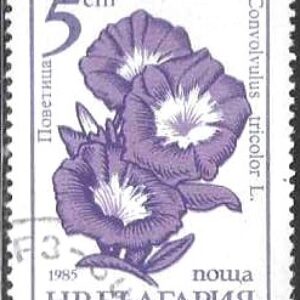 BUL Selo, 1985, (Bulgária/Europa), (Mint), Yt:BG 2955. Garden Flowers. Bindweed, Convolvulus tricolor L.