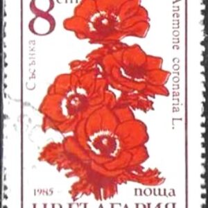 BUL Selo, 1986, (Bulgária/Europa), (Mint). Yt:BG 3023, Garden Flowers Poppy Anemone (Anemone coronária).