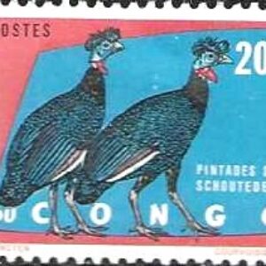 CGO Selo, 1963, (Republique du Congo/África), (Mint). Protected Birds.