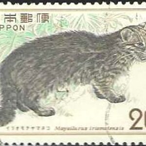 JAP Selo, 1974, (Japão/Ásia), (N), Yt:JP 1033. Nature Conservation Iriomote Cat (Mayailurus iriomotensis).