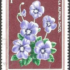 ROM Selo, (Romenia/Europa), 1979, (Mint), Yt:RO 3158. Protected Flowers. Alpine Violet (Viola alpina).