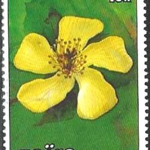 COD Selo, 1984, (República Democrática do Congo - Zaire), (Mint), Yt:CD 1161. Flowers Hypericum revolutum.