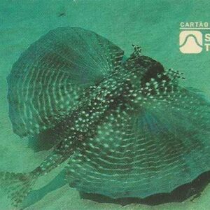 Br-Cartão Telefônico, 1998, (U). 1988 Ano Internacional dos Oceanos (Falso voador).