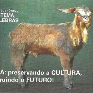 Br-Cartão Telefônico, 1998, (U). Um bode chamado Yoyo. Ceará preservando a cultura construindo o Futuro.