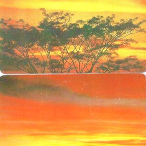 Br-Cartão Telefônico, 1998, (U). (02 unidades). Tema: Céu. Um olhar sobre o cerrado.