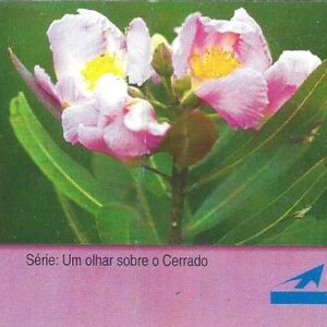 Br-Cartão Telefônico, 1998, (U). Tema: As Flores. CTBC Telecom.