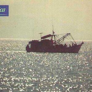 Br-Cartão Telefônico, 1999, (U). Paúba, praia no município de São Sebastião/SP.