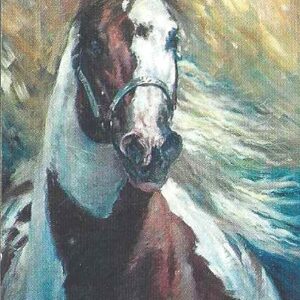 Br-Cartão Telefônico, 1999, (U). Freckles Storm Cat. (Raça Paint Horse).