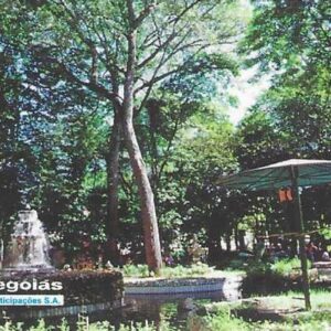 Br-Cartão Telefônico, 1999, (U). Parque Mutirama de Goiânia - GO.