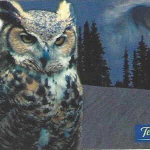 Br-Cartão Telefônico, 2000, (N). Série: Aves de Rapina (Coruja).