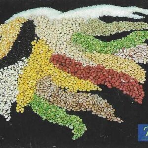 Br-Cartão Telefônico, 2000, (U). Série Alimentos: Grãos.