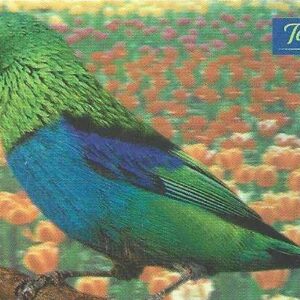 Br-Cartão Telefônico, 2000, (N). Série: Pássaros Exóticos (Saíra de Lenço).